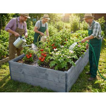 Warzywniak grządka 100x100x28 Sosnowy -Inspekt- Impregnowany